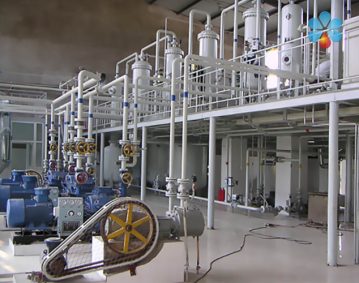 Pomegranate Seed Oil Production Line