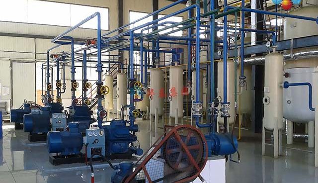 Walnut Kernel Oil Production Line