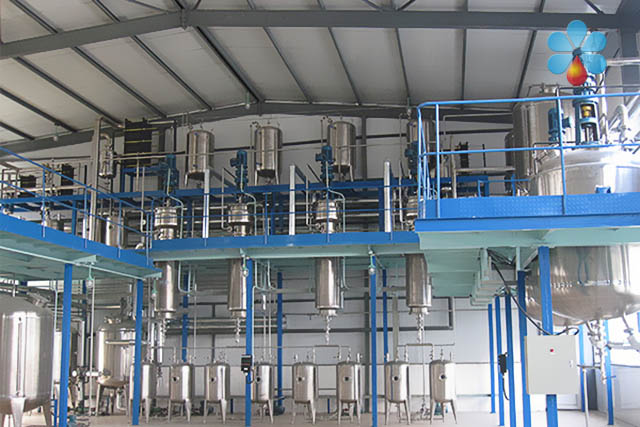 Wheat germ oil production line