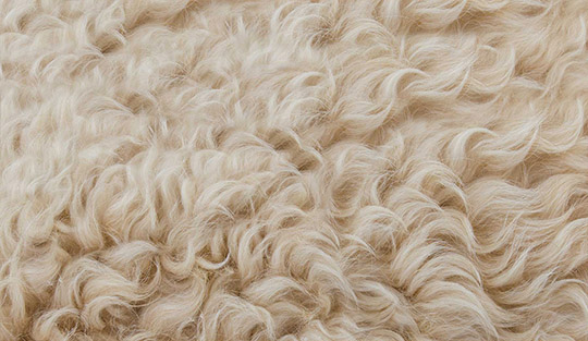 Wool Degreasing